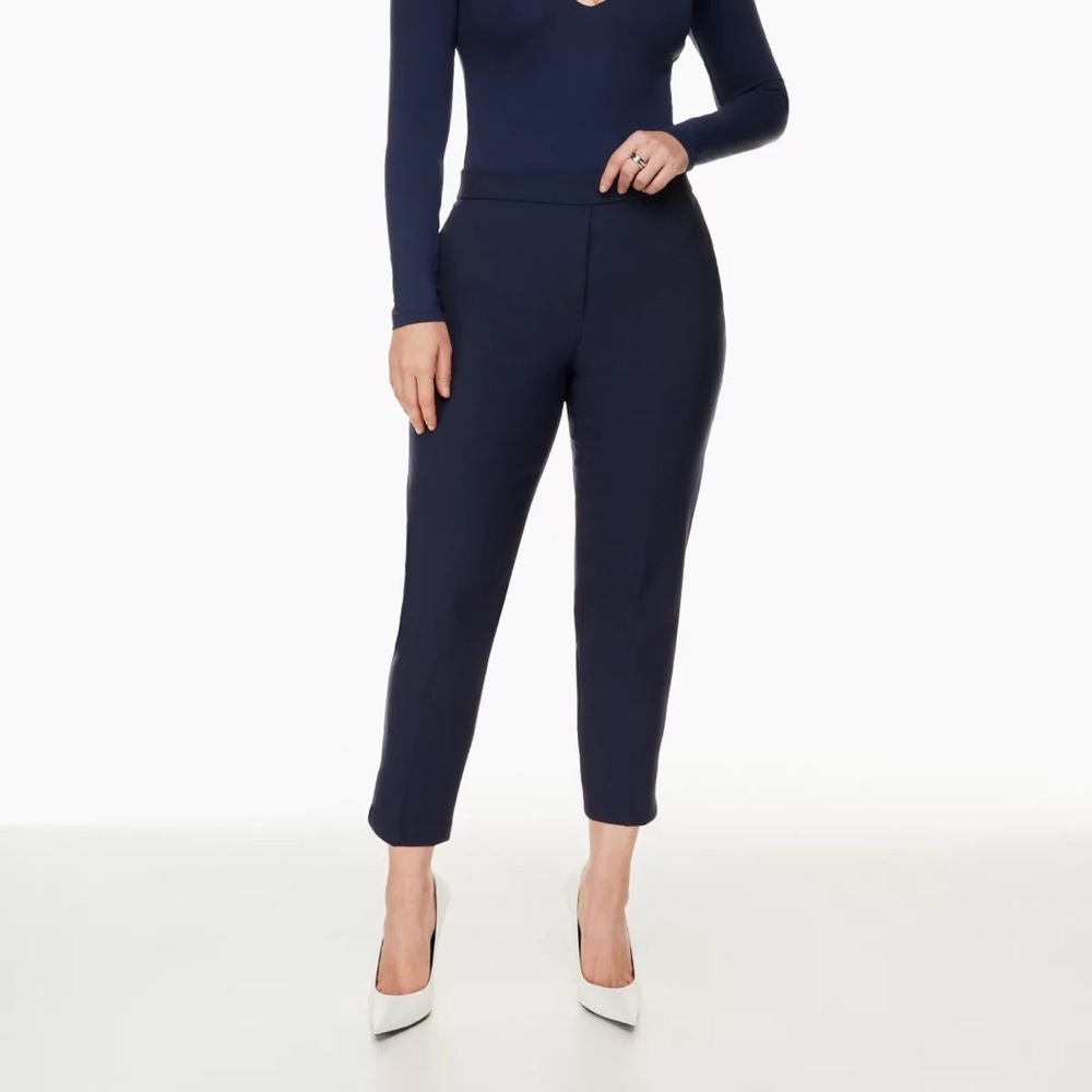 Brand new babaton Conan Cropped Pant